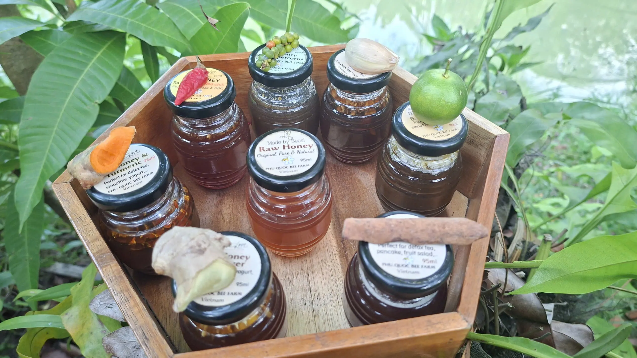 The Honey Tasting Experience
